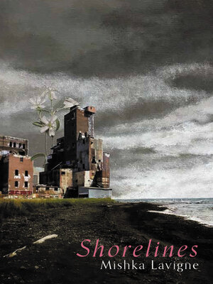 cover image of Shorelines